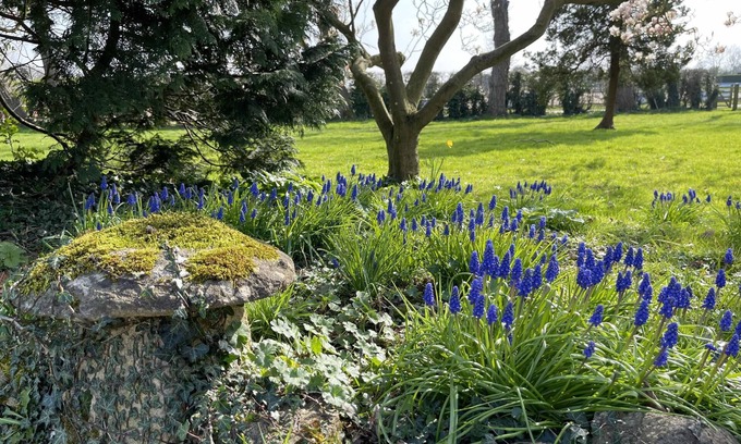 Oxford Bed & Breakfast | Hill Farm