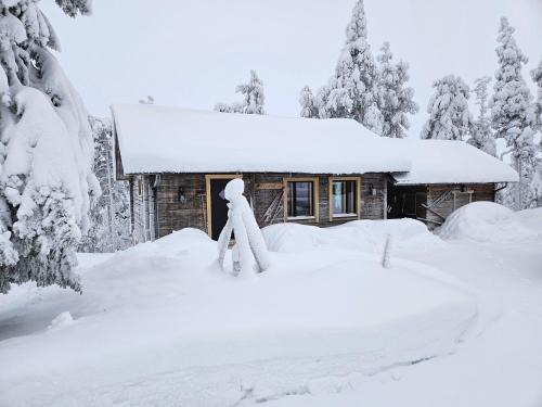Rukatunturi Ski Chalet | Hilltop Villa at Lake Porontima