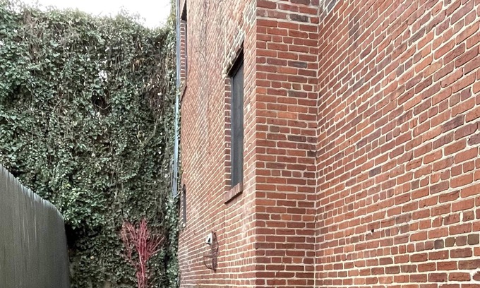 Georgetown House | Historic Georgetown Rowhome ~ Slps 5!