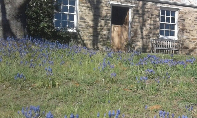 Lowburn Cottage | Historic stone cottage