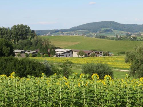 Klettgau Apartment | Hof Gasswies