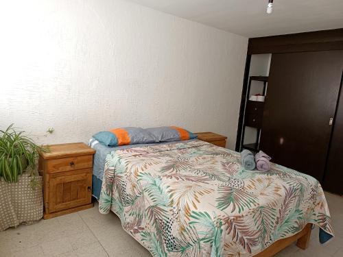 Downtown Queretaro House | Hojita House 2