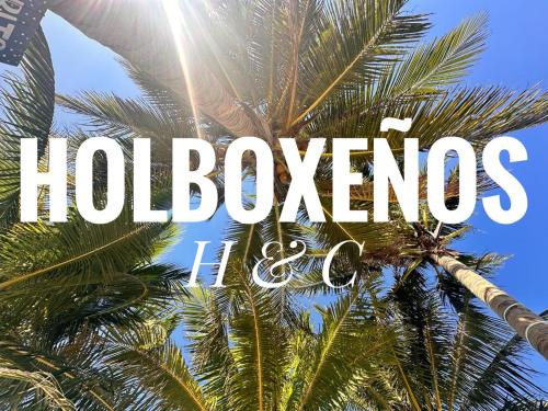 Isla Holbox Hostel | Holboxeños Hostel y Camping