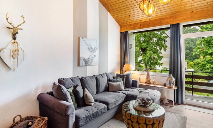Sankt Andreasberg Apartment | Holiday Apartment "Berglounge im Harz" in St. Andreasberg