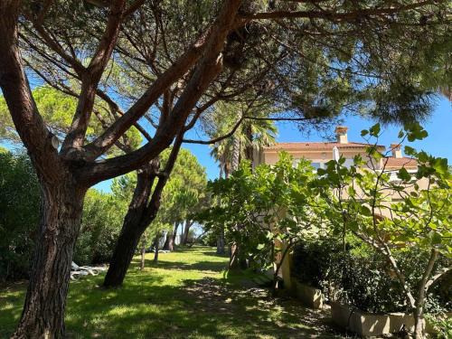 Pineto House | Holiday Home Les Chênes by Interhome