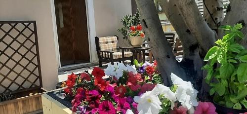 Mount Vesuvius - Pompei Apartment | Holiday House NELLINA