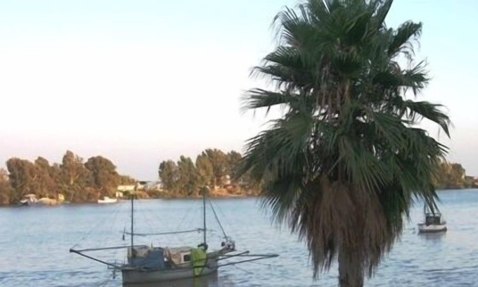 Coria del Rio House | Holidays in Seville (Andalusia)