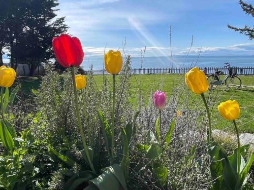 Oak Harbor Apartment | Home Away From Home