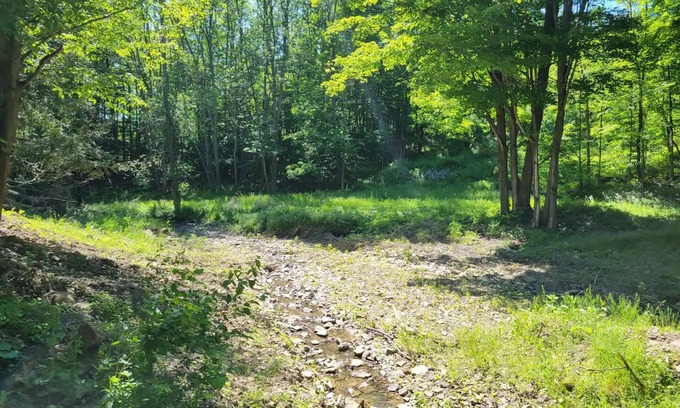 Westfield House | Home in the Woods
