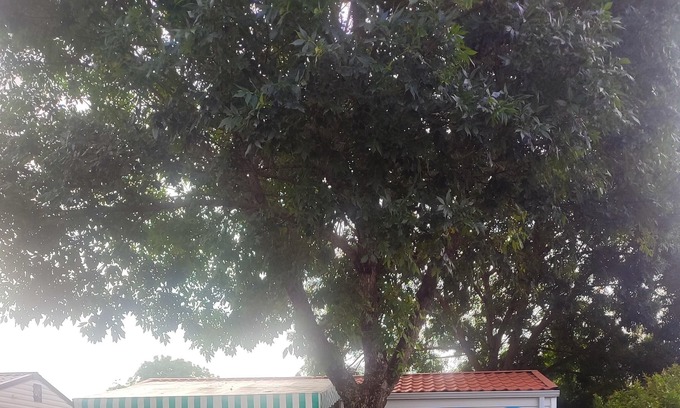 Saujon House | Homerez - Bungalow 10 km away from the beach for 4 ppl. with terrace at Saujon