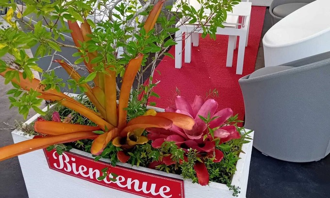 Morne Rouge House | Homerez - Bungalow in Sainte-Rose