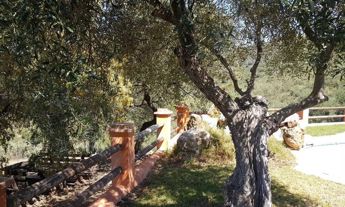 Montellano Villa | Homerez - Villa Puerto Serrano