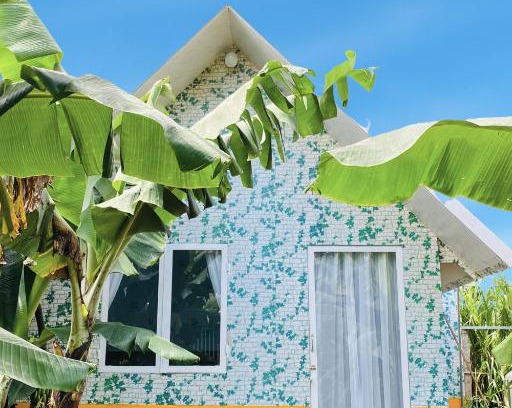 Buon Ma Thuot Apartment | Homestay Xóm Rau