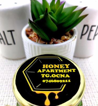 Tirgu Ocna Apartment | Honey apartment