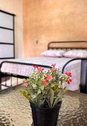Ocosingo House | Hospedaje Jardin
