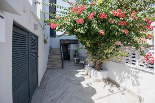 Ibiza Town House | Hostal Costa