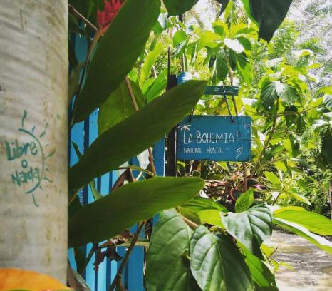 Capurgana House | Hostal La Bohemia
