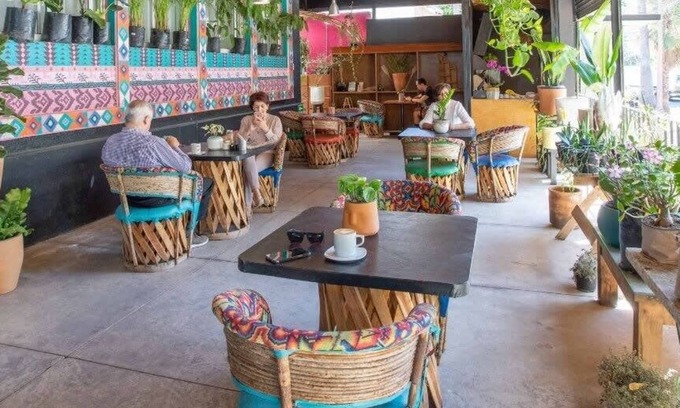Lafayette House | Hostal La Paz & Love | Hab Priv. | Zona Centro