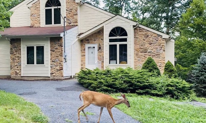 Bushkill House | Hot Tub, Pool, Game Room and more fun for the whole family