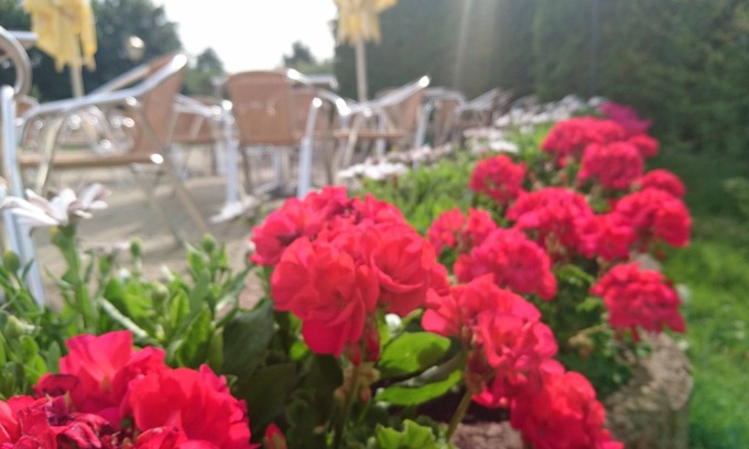 Lubbenau/Spreewald Hotel | Hotel am Muehlberg