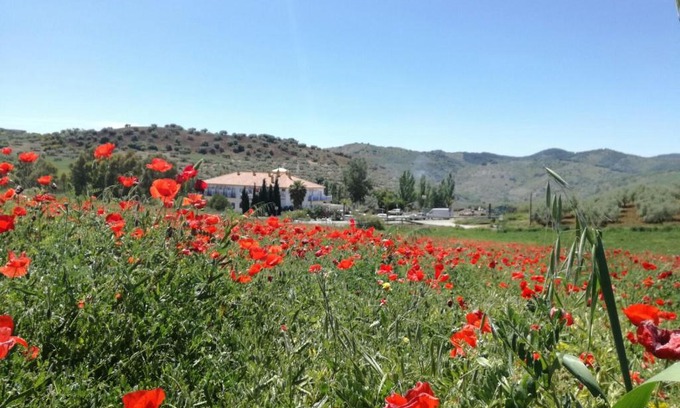 Colmenar Hotel | Hotel Arco del Sol