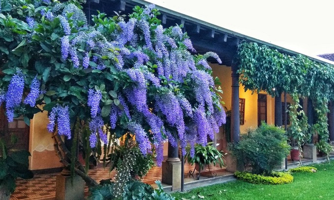 Antigua Guatemala Hotel | Hotel Aurora