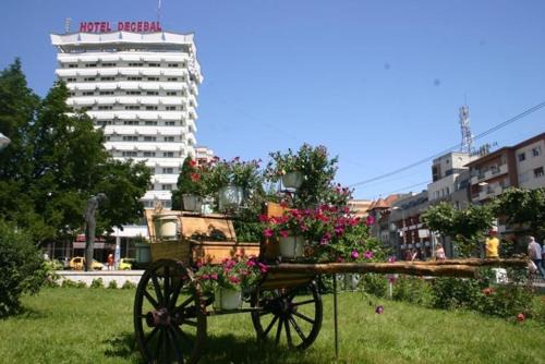 Bacau Hotel | Hotel Decebal