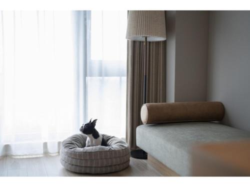 Manazuru Hotel | HOTEL FARO manazuru - Vacation STAY 43000v