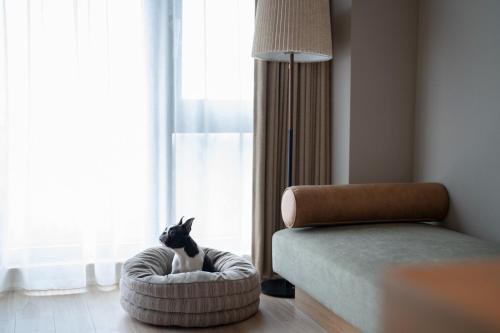 Manazuru Hotel | HOTEL FARO manazuru - Vacation STAY 56476v