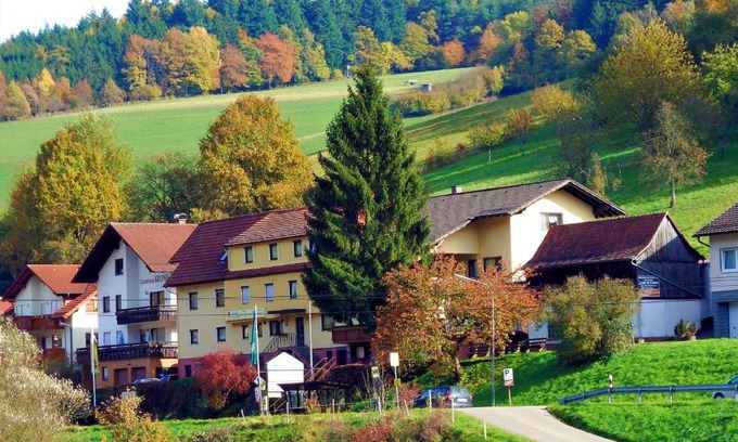 Gammelsbach Hotel | Hotel Gasthof Zur Krone