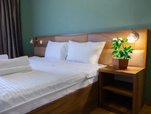 Telavi Hotel | Hotel Horizont Telavi