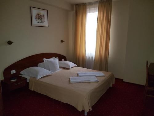 Arad Hotel | Hotel Iris