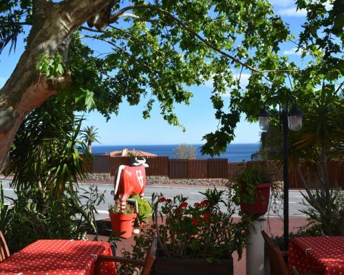 Theoule-Superieur Hotel | Hotel Le Patio