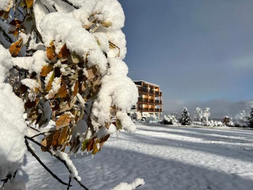 La Villa Hotel | Hotel Lech Da Sompunt