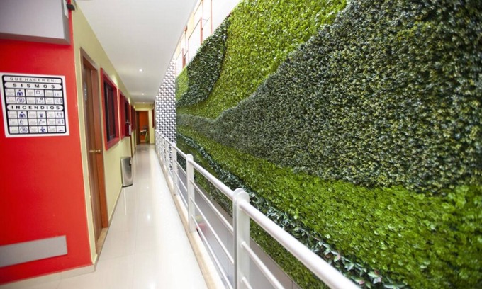 San Miguel Chapultepec Hotel | Hotel Lira - Solo Adultos