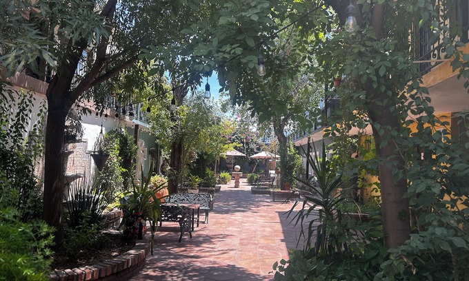 Monclova Hotel | Hotel Olimpia Centro Histórico