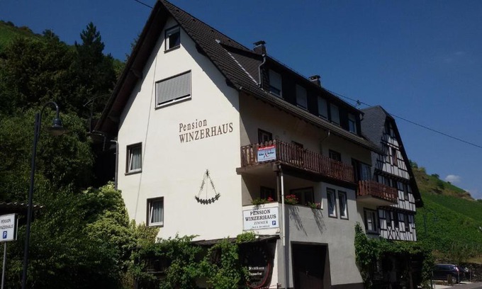 Mainz-Bingen House | Hotel Pension Winzerhaus