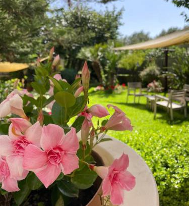 Palinuro Apartment | Hotel Residence Da Carmelo