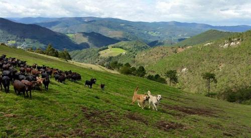 Oneta Hotel | Hotel Rural Yeguada Albeitar
