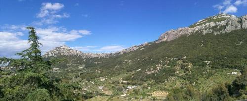Dorgali Hotel | Hotel Sant'elene