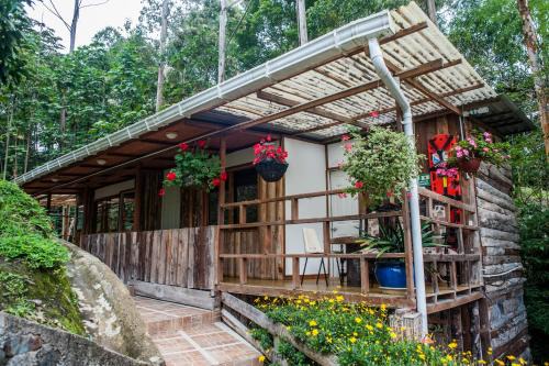 Salento Cabin | Hotel Selva Verde