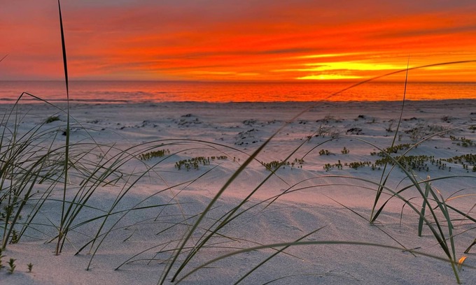 Vestero Havn Hotel | Hotel Strandgaarden