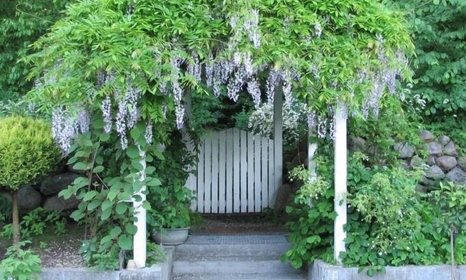 Snekkersten Hotel | Hotel Villa Brinkly