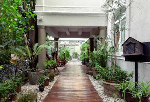 Roma Norte Hotel | Hotel Villa Condesa