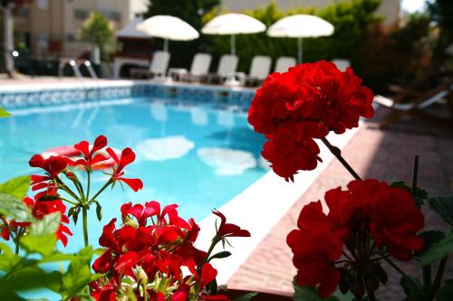 Dio-Olympos Hotel | Hotel Villa Drosos