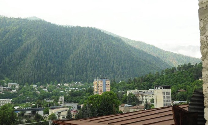 Borjomi House | House in Borjomi