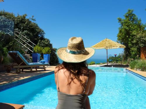 Bluff Hill Bed & Breakfast | House of Pania BnB