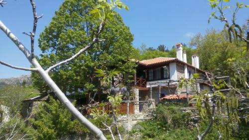 Kazaviti House | House Rodia