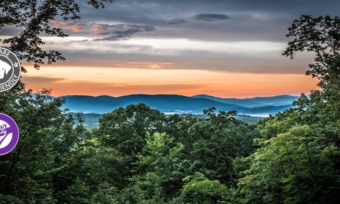 Helen Cabin | 🍁 Huckleberry Cabin - wifi, Fireplace, fire pit, VIEWS! Only 3 miles To Helen!