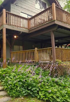Almond House | Hummingbird Hideaway - Lake Pets Hike Fish